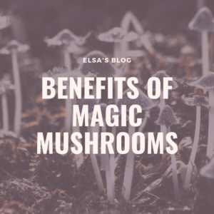 What to Do on Shrooms